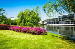 beautiful landscaped garden with a small stream overlooking an office building