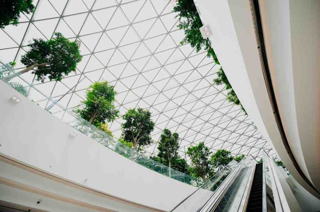 Commercial building with excelator and trees on the top floor.