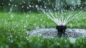 Underground sprinkler spraying water