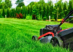 Lawn mower cutting grass with pine trees in the background