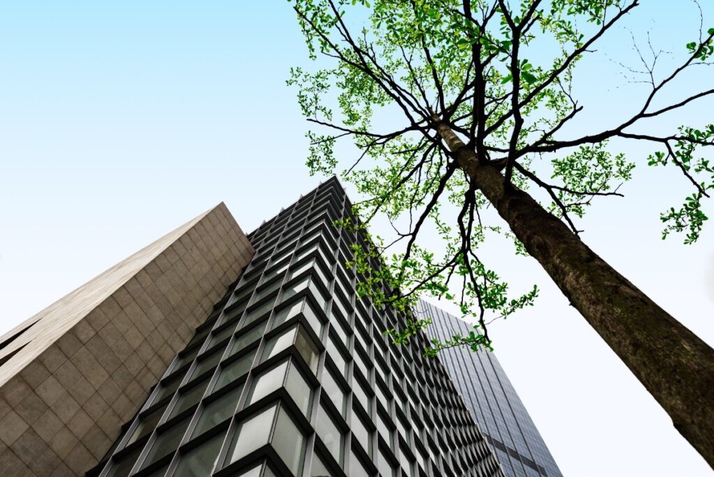 A large tree beside a commercial building