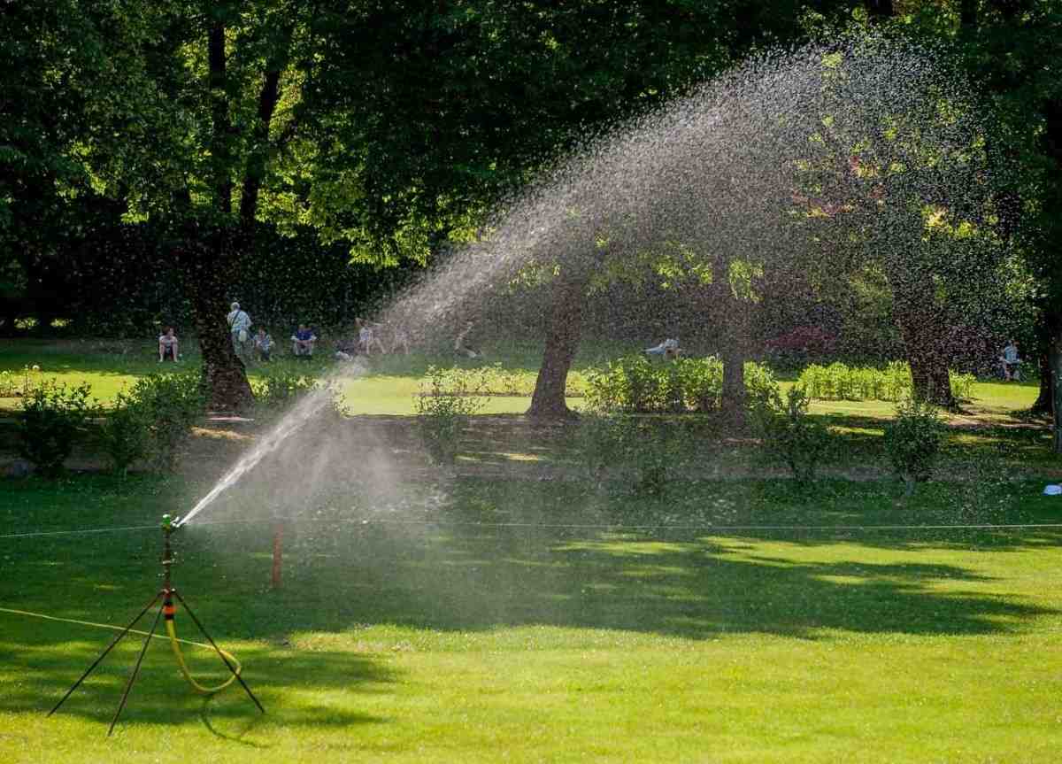 Sprinklers irrigating garden lawn