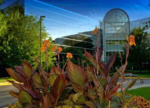 beautifully landscaping outside commercial office