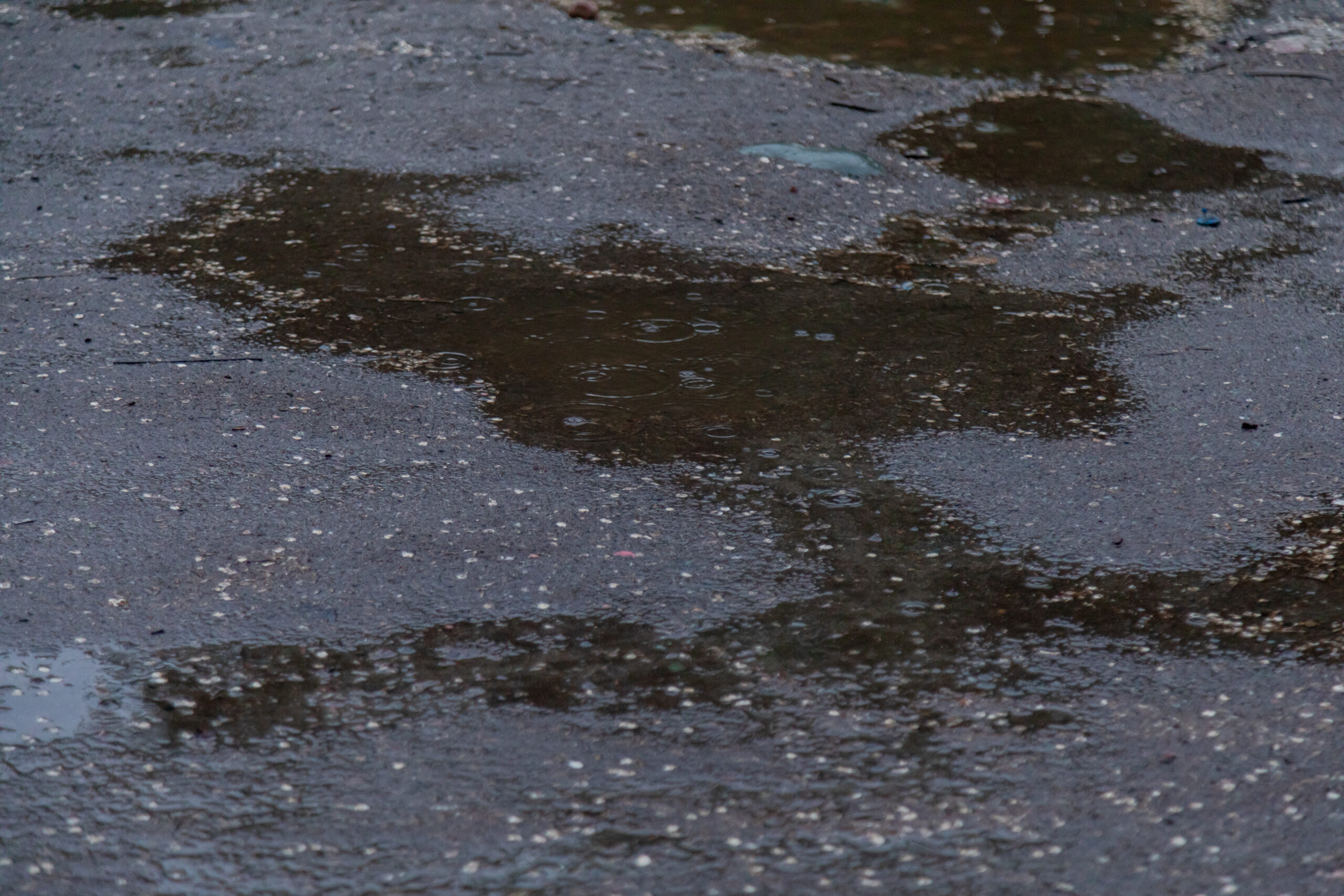 Closeup of dripping raindrops in a puddle in rainy day