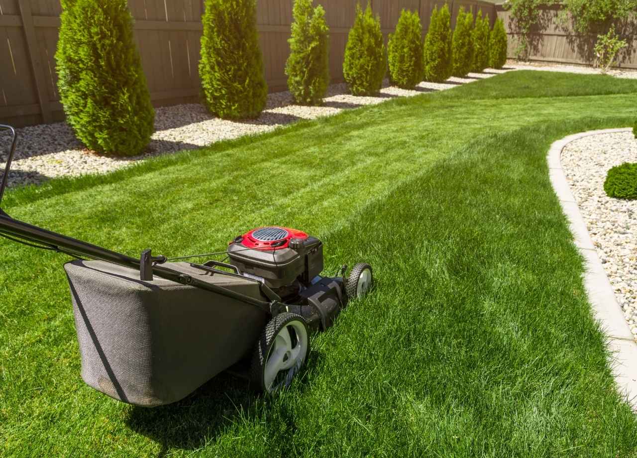 Manicured lawn with a mower mowing lawn.