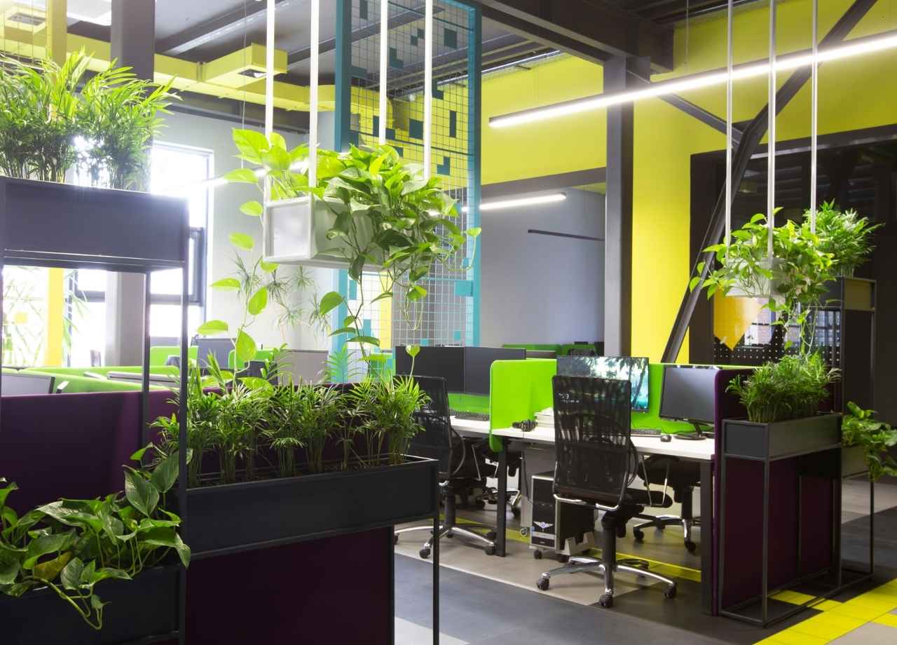Office with interior plants