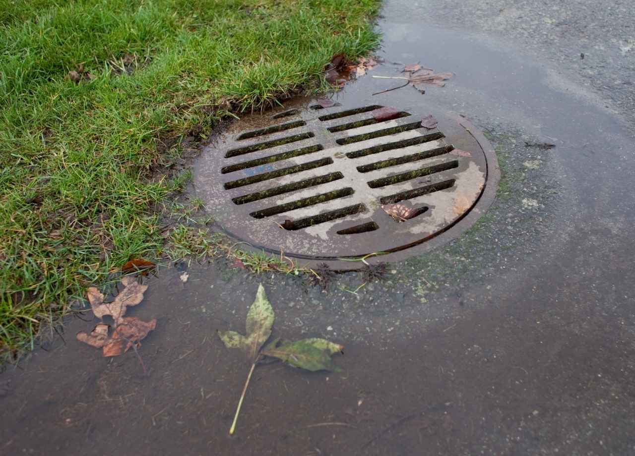 A drain beside lawn