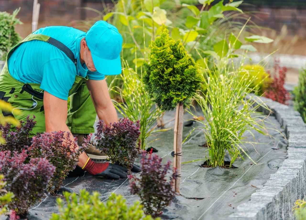 hotel landscaping