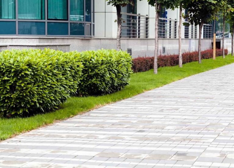 Beautiful landsaping for offices