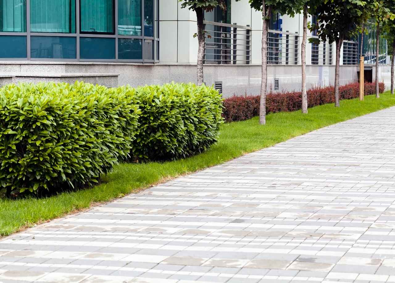 Beautiful landsaping for offices