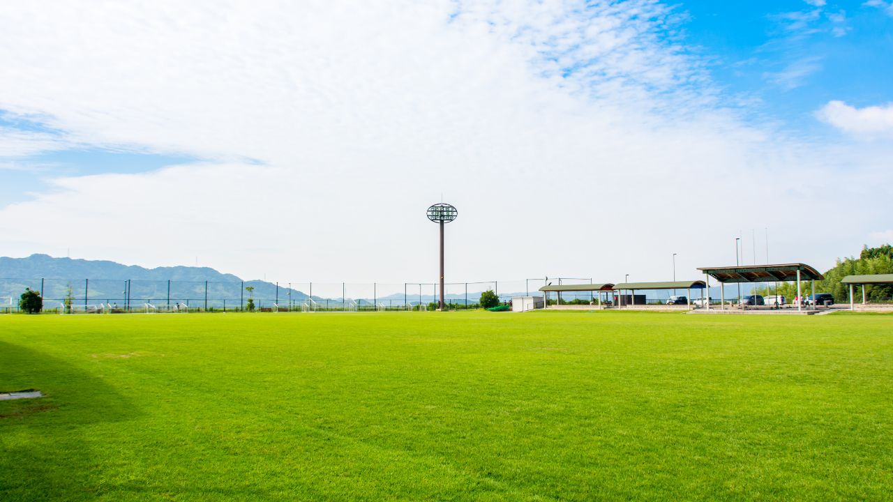 Functions in Commercial Use