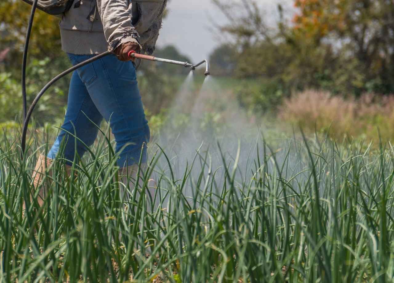 Commercial Landscape Fertilization