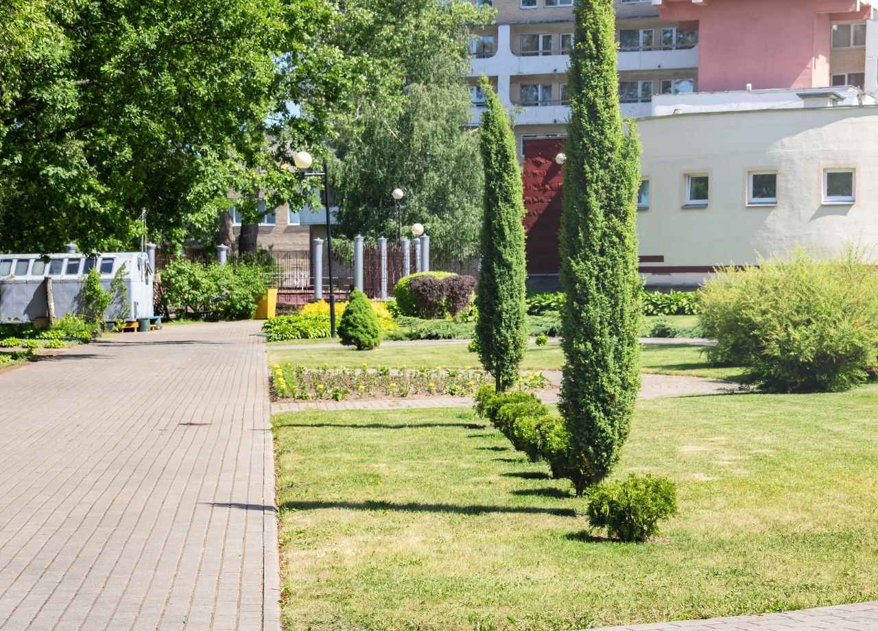 Managing Commercial Landscaping Plants