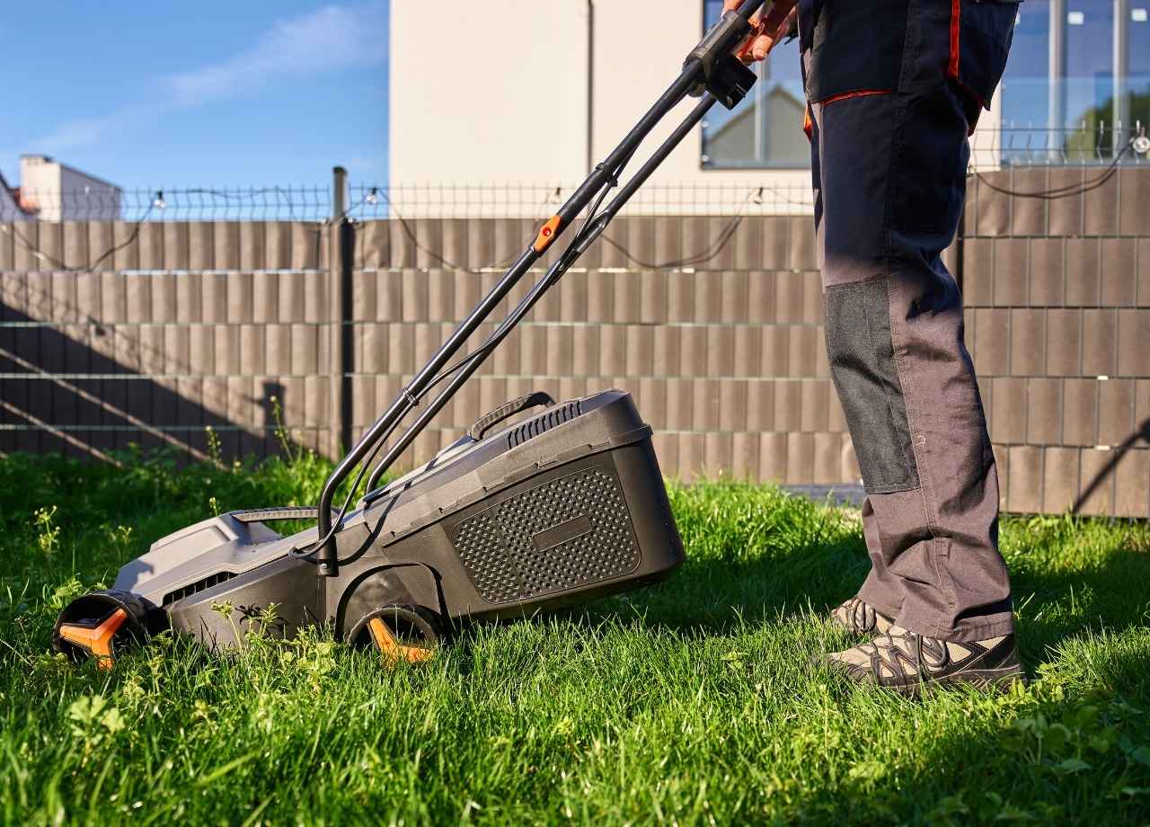commercial landscape maintenance companies near me