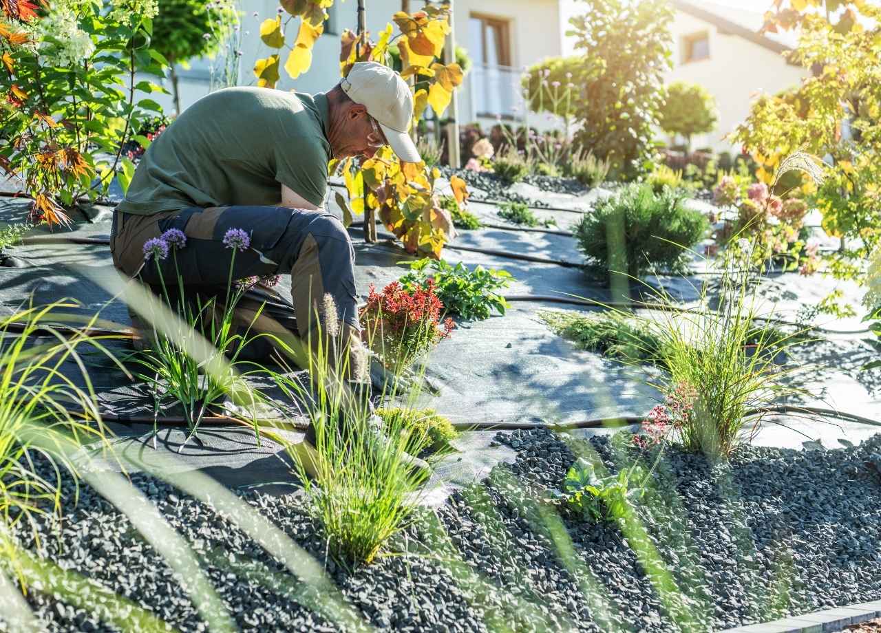 commercial landscape edging