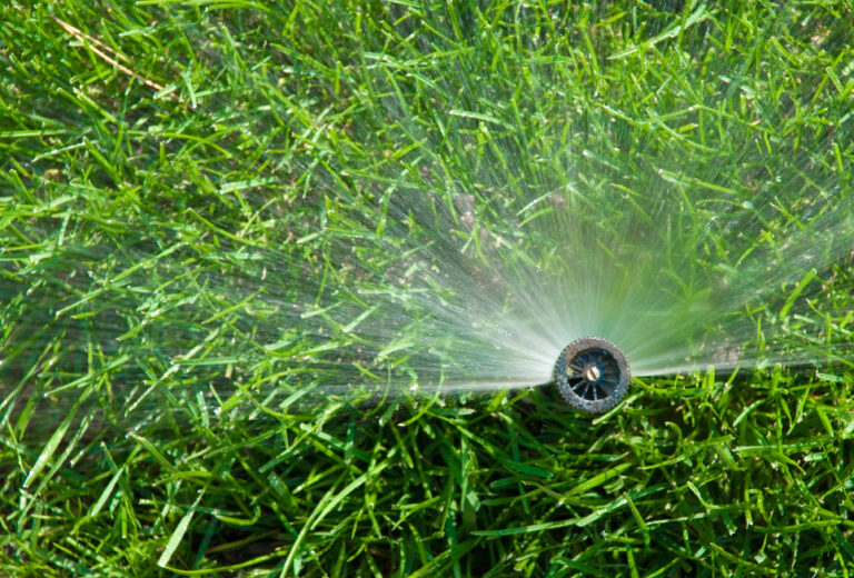 Automatic sprinkler watering a lawn