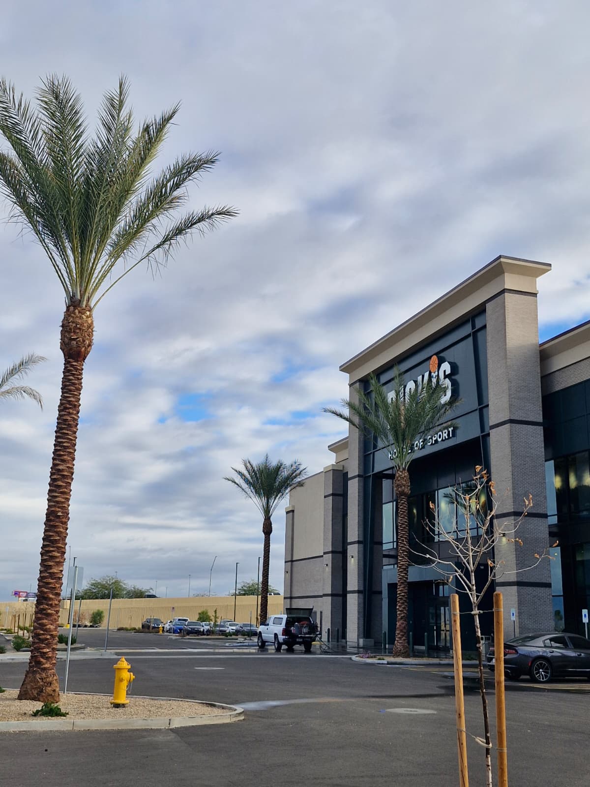 Exterior of a sporting goods store with southwestern landscaping, including palm trees, gravel and mulch.