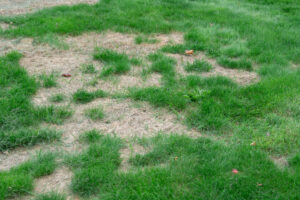 A common landscaping mistake is putting sod or grass where it won't thrive. Patchy grass.