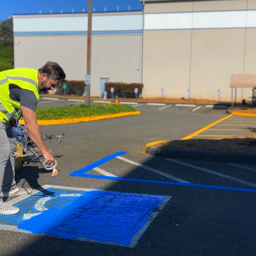 Distribution Hub - Exterior - Lot Striping